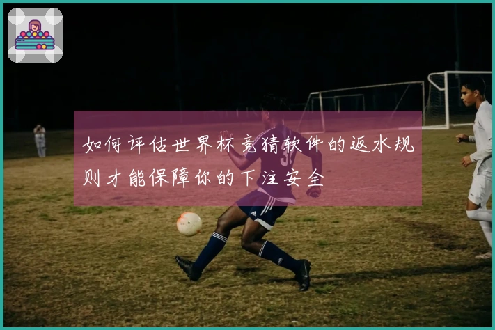 如何评估世界杯竞猜软件的返水规则才能保障你的下注安全