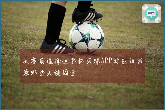 决赛前选择世界杯买球APP时应该留意哪些关键因素