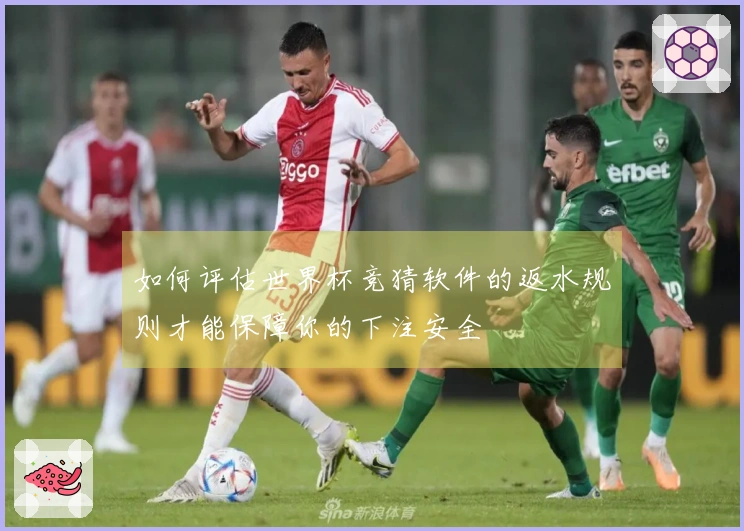 如何评估世界杯竞猜软件的返水规则才能保障你的下注安全